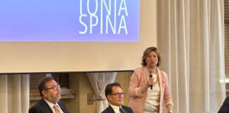 Investimenti, Spina (FdI): «Le aziende sfruttino le opportunità per modernizzarsi»