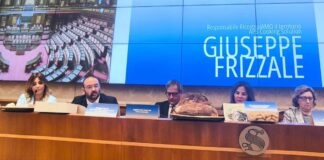 Conferenza sui Pat al Senato, le riflessioni di Giuseppe Frizzale