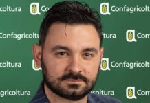 Dao e tracciabilità dell’olio, il biscegliese Di Niso: « Il 12 ottobre saremo comunque a Bari»