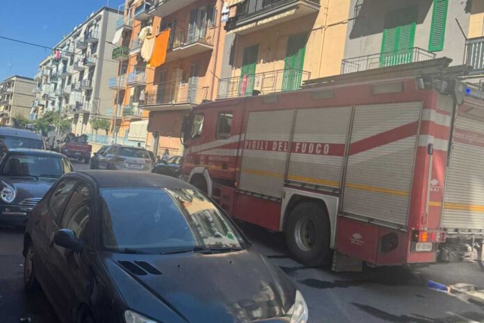 c4a93571-a667-4f56-b935-b80211ecd4f2