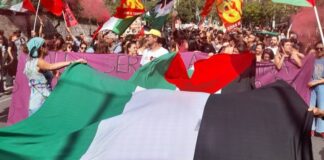 Vandalizzati i vessilli palestinesi che erano esposti su una barca donata al Comune di Bisceglie