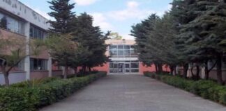 Il Liceo “Da Vinci” si schiera contro la violenza sulle donne