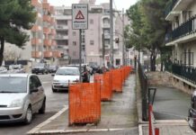 Divampa polemica sui 15 pini abbattuti in via Di Vittorio, intanto si attende l’inizio del depaving