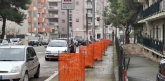 Divampa polemica sui 15 pini abbattuti in via Di Vittorio, intanto si attende l’inizio del depaving
