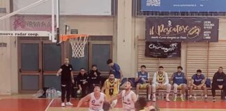 Basket, Serie B2: contro Senigallia arriva la terza sconfitta stagionale per i Lions Bisceglie