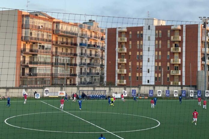 bit mola - virtus bisc