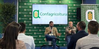 Pochi giorni al via di “Evolio Expo”, le riflessioni del biscegliese Di Niso (Confagricoltura Bari-Bat)