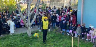 “Festa dell’Albero”: a Bisceglie 200 nuove alberature