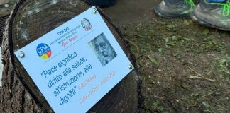 Piantumato l'”Ulivo di Gino” nella sede cittadina del CPIA Bat
