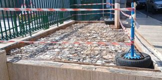 Spazio Civico attacca la giunta: «Perché si elimina il verde per il cemento?»