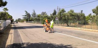 Al via i lavori sulle provinciali 33 e 34 che collegano Bisceglie con Andria e Corato