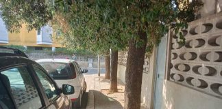 Nasce il Comitato “Seminario – San Francesco”: oltre 400 adesioni per rilanciare il quartiere