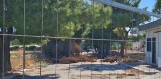 Il dolore e la rabbia della famiglia di Alicia a 5 mesi dalla tragedia: «Area ancora insicura»