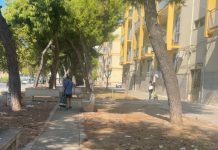 «Verde abbandonato, rischiamo un incendio. Sterpaglie secche non raccolte», l’allarme di Preziosa (FI)