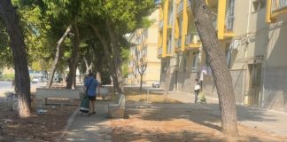 «Verde abbandonato, rischiamo un incendio. Sterpaglie secche non raccolte», l’allarme di Preziosa (FI)