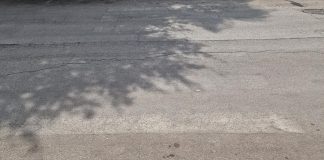 Sicurezza stradale davanti alle scuole: l’appello inascoltato di Spazio Civico