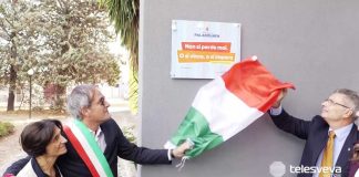 Rinasce il PalaDolmen: taglio del nastro dopo il maxi restyling da oltre 2 milioni di euro