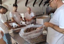 XXV Festa della Scuola a Bisceglie: l’educazione che unisce eccellenza e riscatto sociale