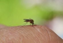 Migliorano le condizioni del 54enne ricoverato a Bisceglie per malaria