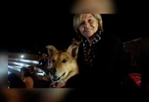 Svolta nelle indagini su investimento mortale sulla SP34: ritrovata l’auto e fermato un uomo di 48 anni