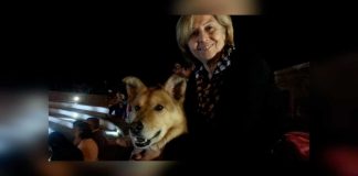 Svolta nelle indagini su investimento mortale sulla SP34: ritrovata l’auto e fermato un uomo di 48 anni