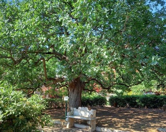 A Bisceglie l’arte incontro la natura con “Str-Ade in Arte”