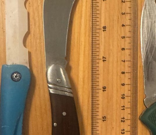 Roma, tenta di entrare nel Tribunale con 4 coltelli: arrestato 46enne biscegliese