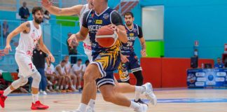 Basket, Serie B2: i Lions Bisceglie tornano al PalaDolmen e alla vittoria contro Pescara