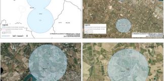Xylella, si riducono le aree cuscinetto a Bisceglie e Minervino Murge
