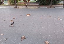 Piazza Vittorio Emanuele assediata dai botti: «Ogni sera esplodono ordigni, è diventata terra di nessuno»