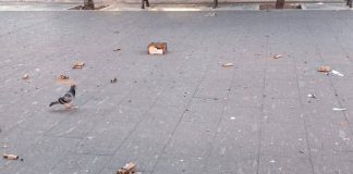 Piazza Vittorio Emanuele assediata dai botti: «Ogni sera esplodono ordigni, è diventata terra di nessuno»