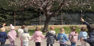 Salvata la continuità dell’asilo nido Montessori: via libera all’affidamento temporaneo